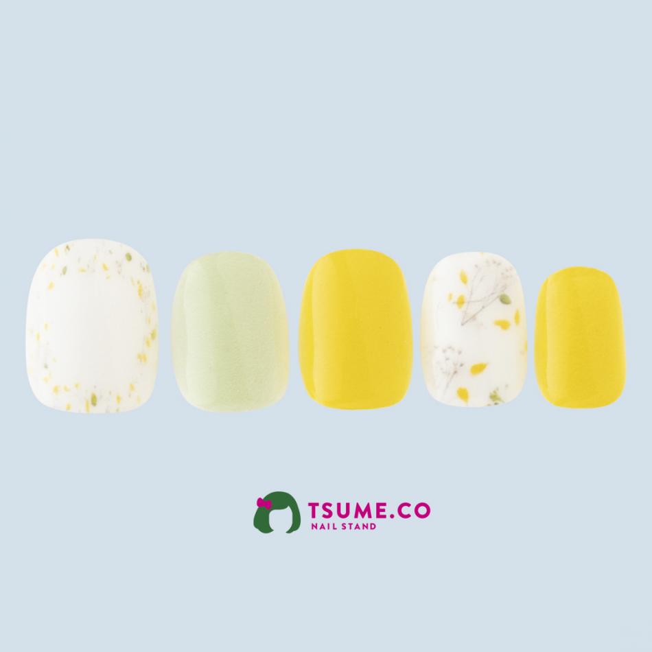 nail_1154