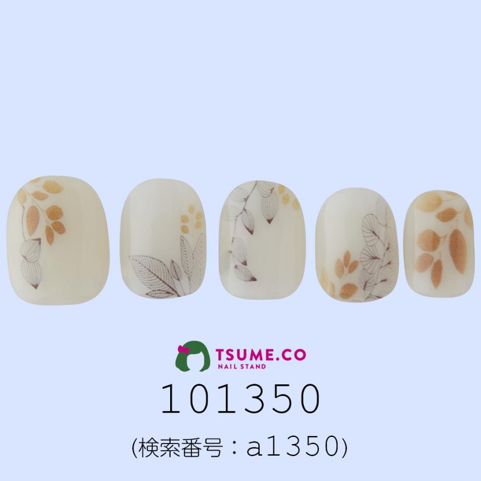 nail_1349