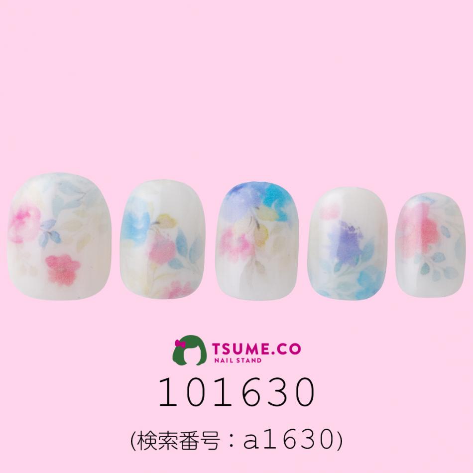 nail_1377