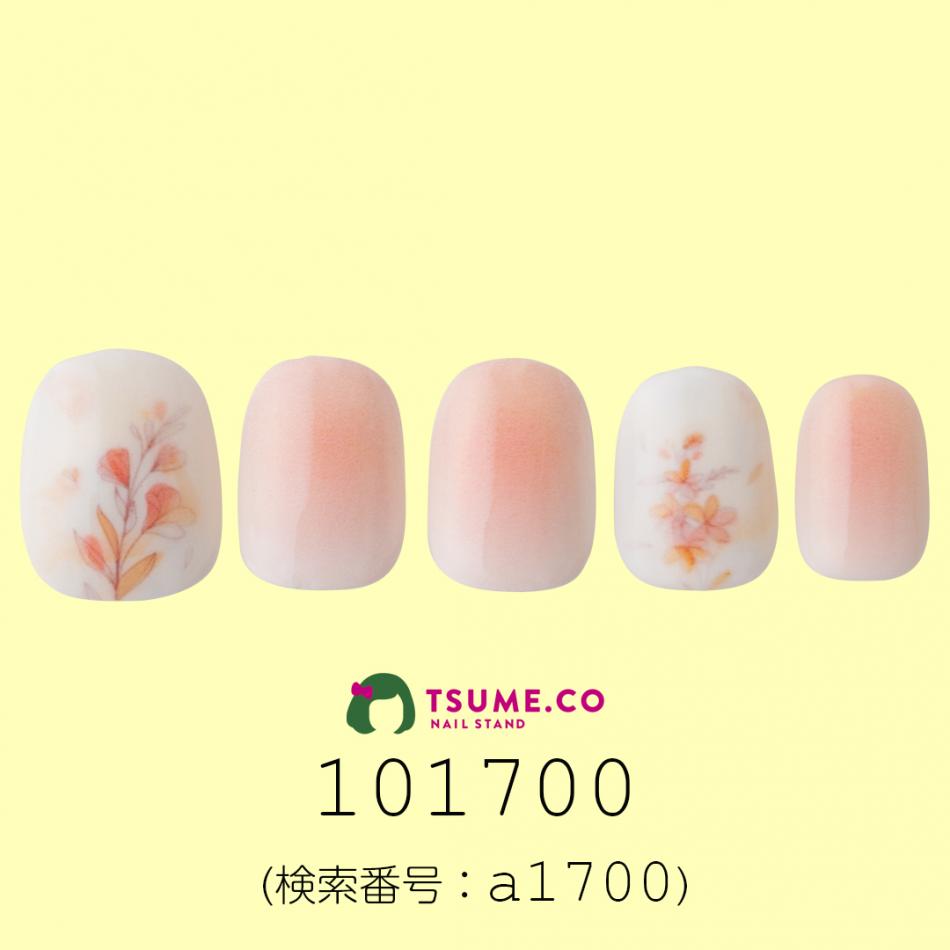 nail_1384