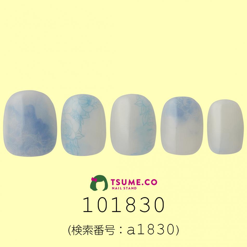 nail_1397
