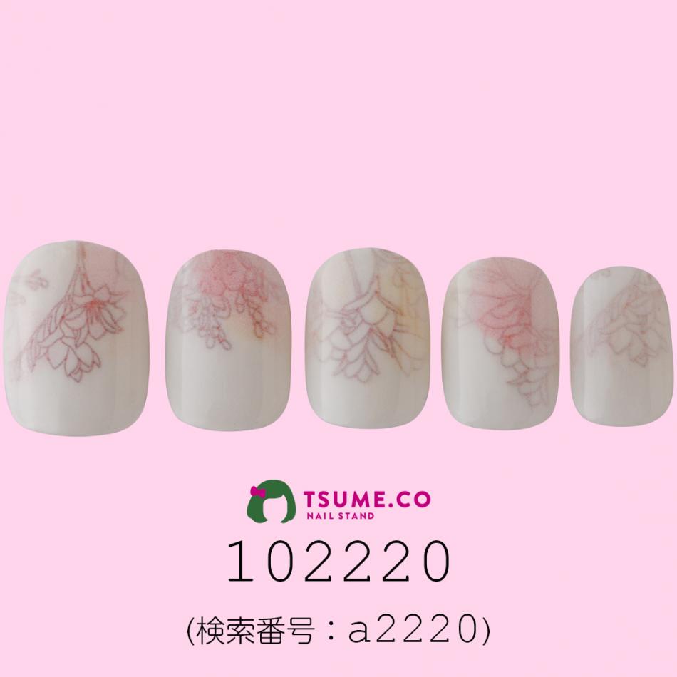 nail_1436