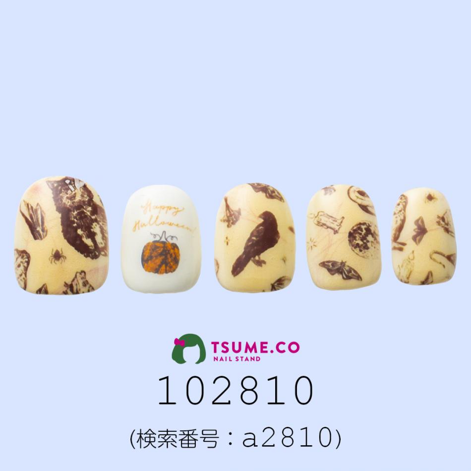 nail_1479