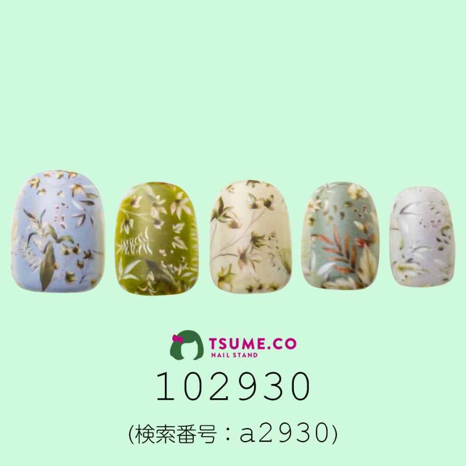 nail_1491