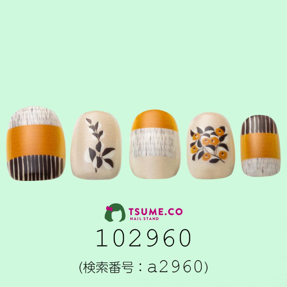 nail_1494