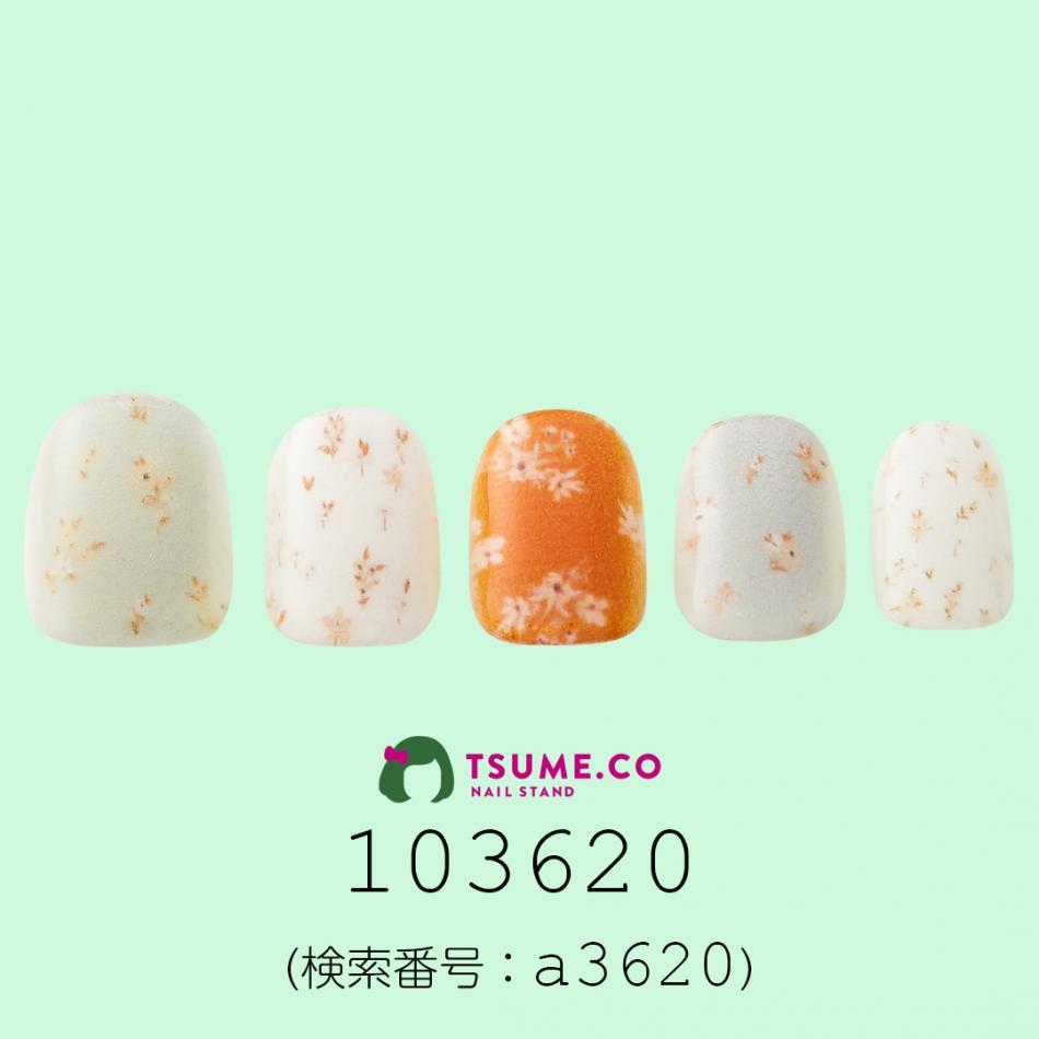 nail_1560