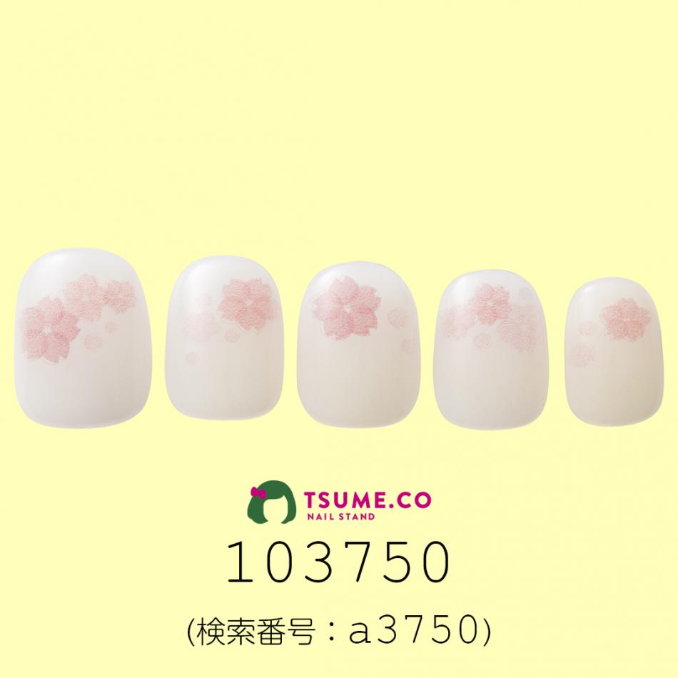 nail_1573
