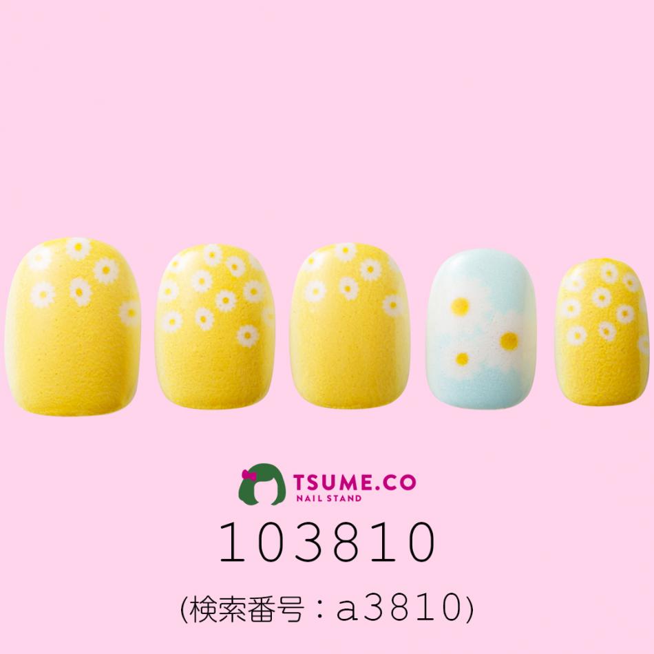 nail_1579
