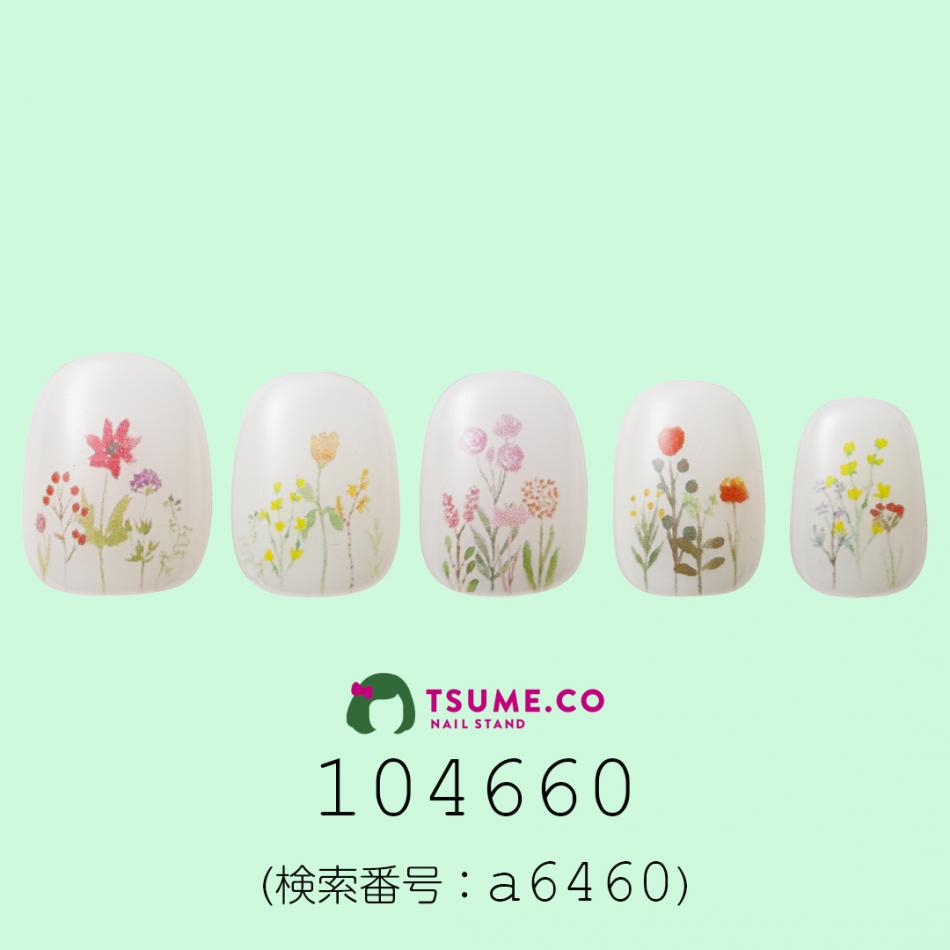 nail_1664