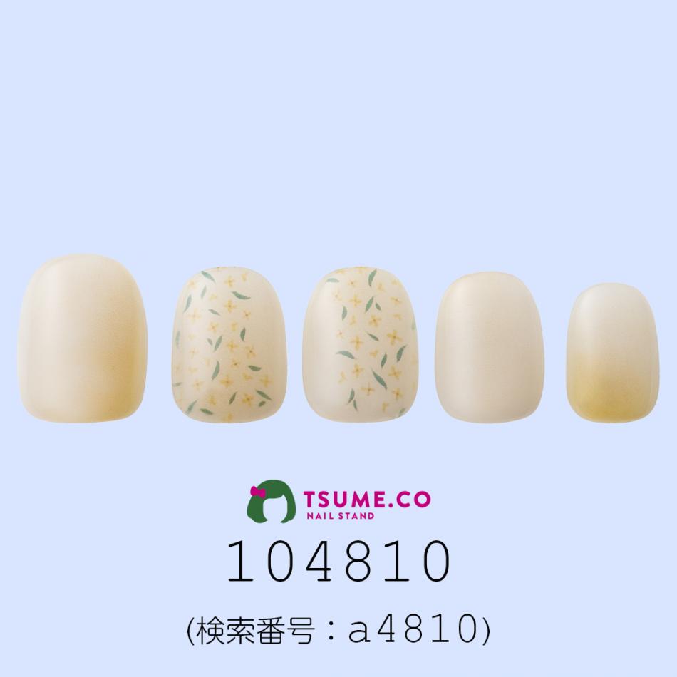 nail_1680